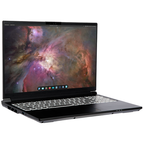 Serval WS quarter turned to the right